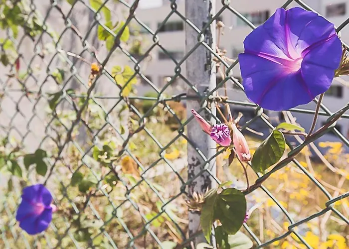 Appartamento Bmyguest - Almada Garden