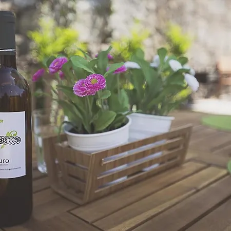 Bmyguest - Almada Garden Porto