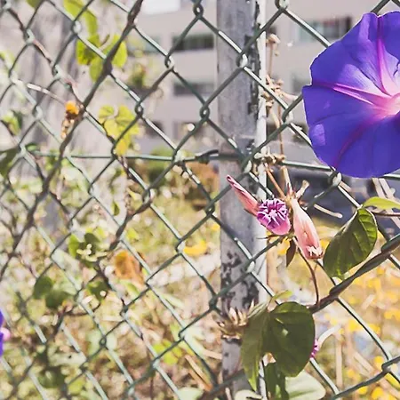 Appartement Bmyguest - Almada Garden